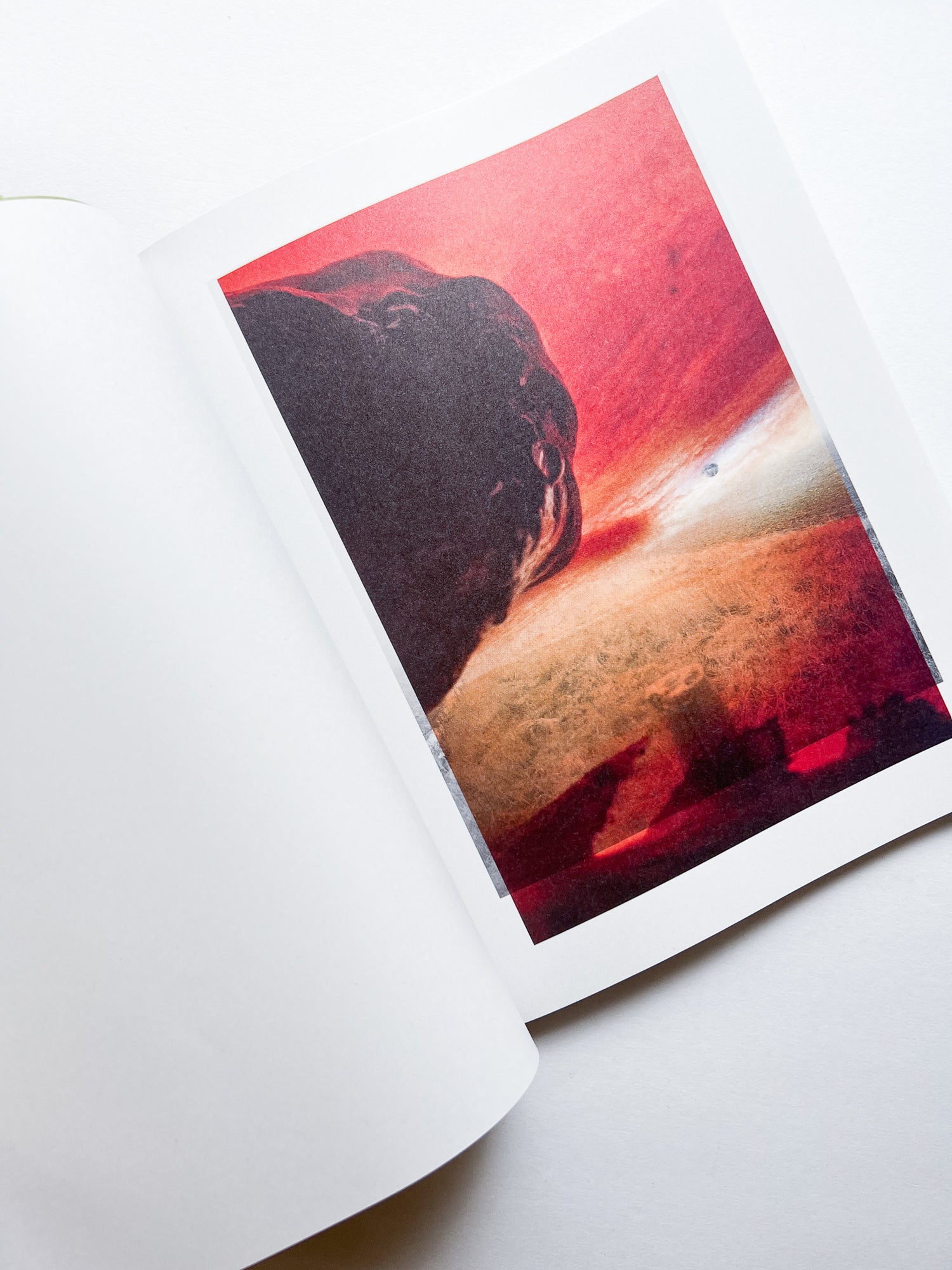 Magnificent Failure / Stephen Gill