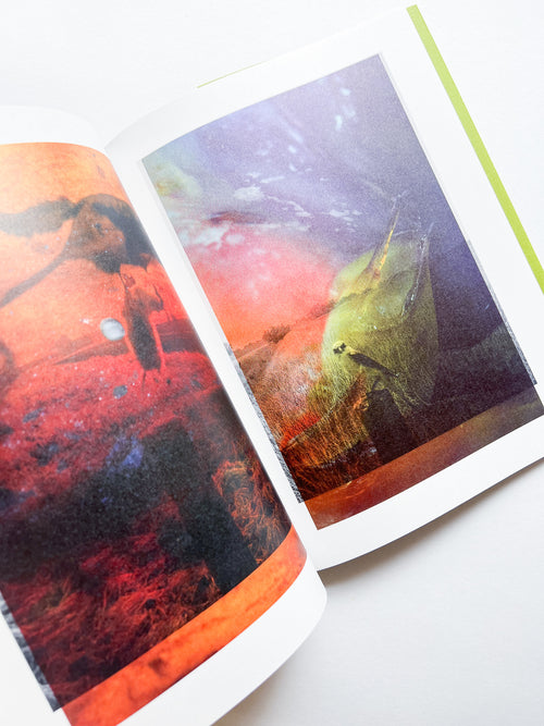 Magnificent Failure / Stephen Gill