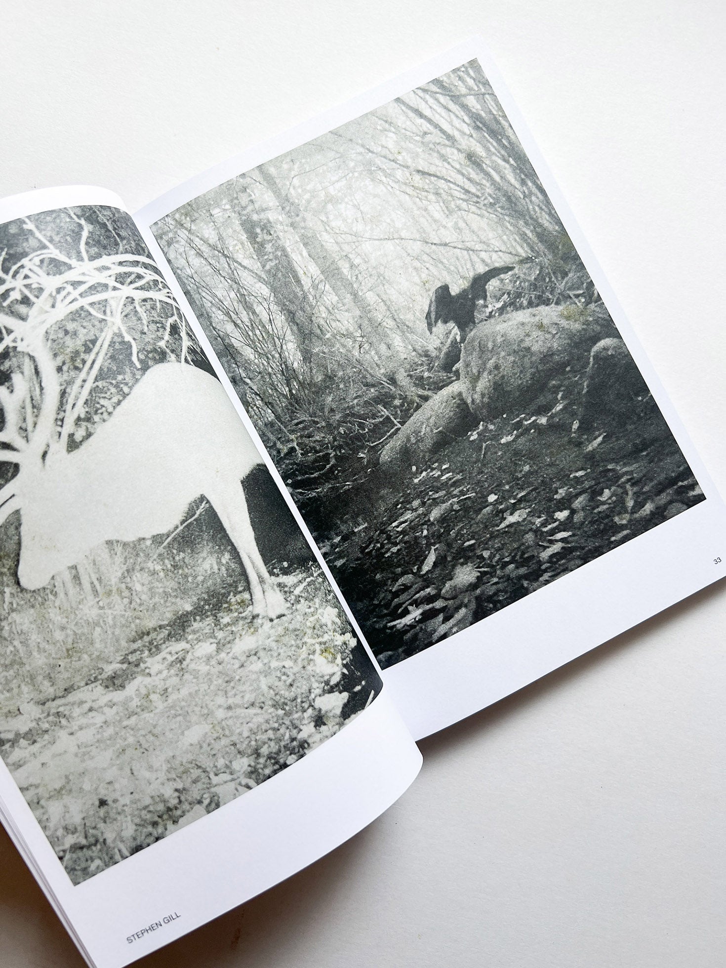 Hotshoe magazine Issue 209: An Emotional Landscape