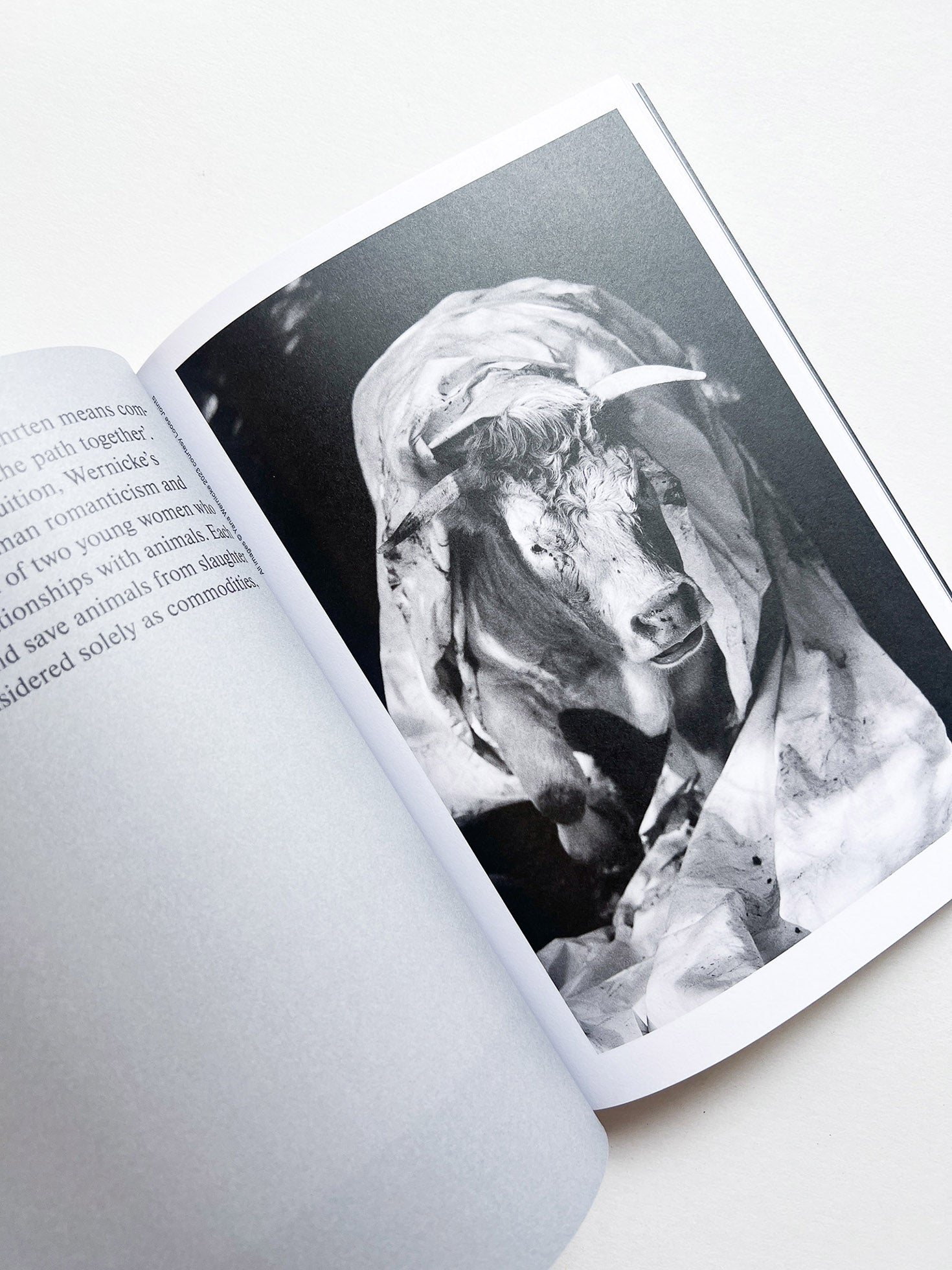 Hotshoe magazine Issue 209: An Emotional Landscape