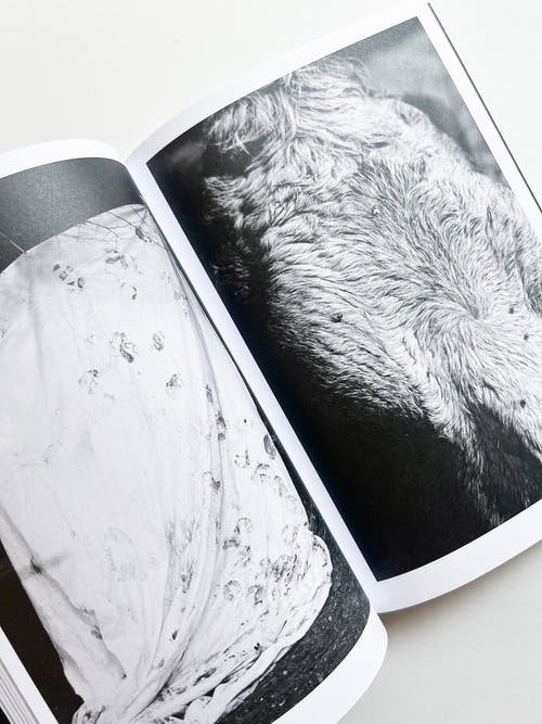 Hotshoe magazine Issue 209: An Emotional Landscape