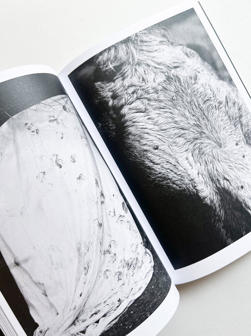 Hotshoe magazine Issue 209: An Emotional Landscape