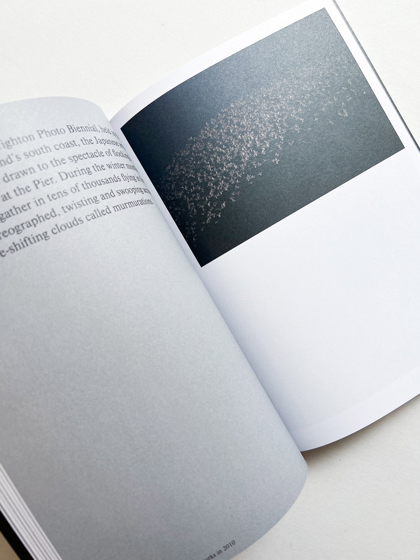 Hotshoe magazine Issue 209: An Emotional Landscape