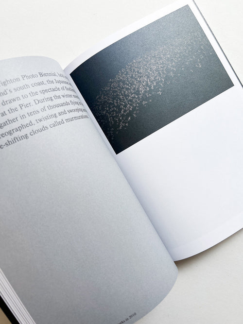 Hotshoe magazine Issue 209: An Emotional Landscape