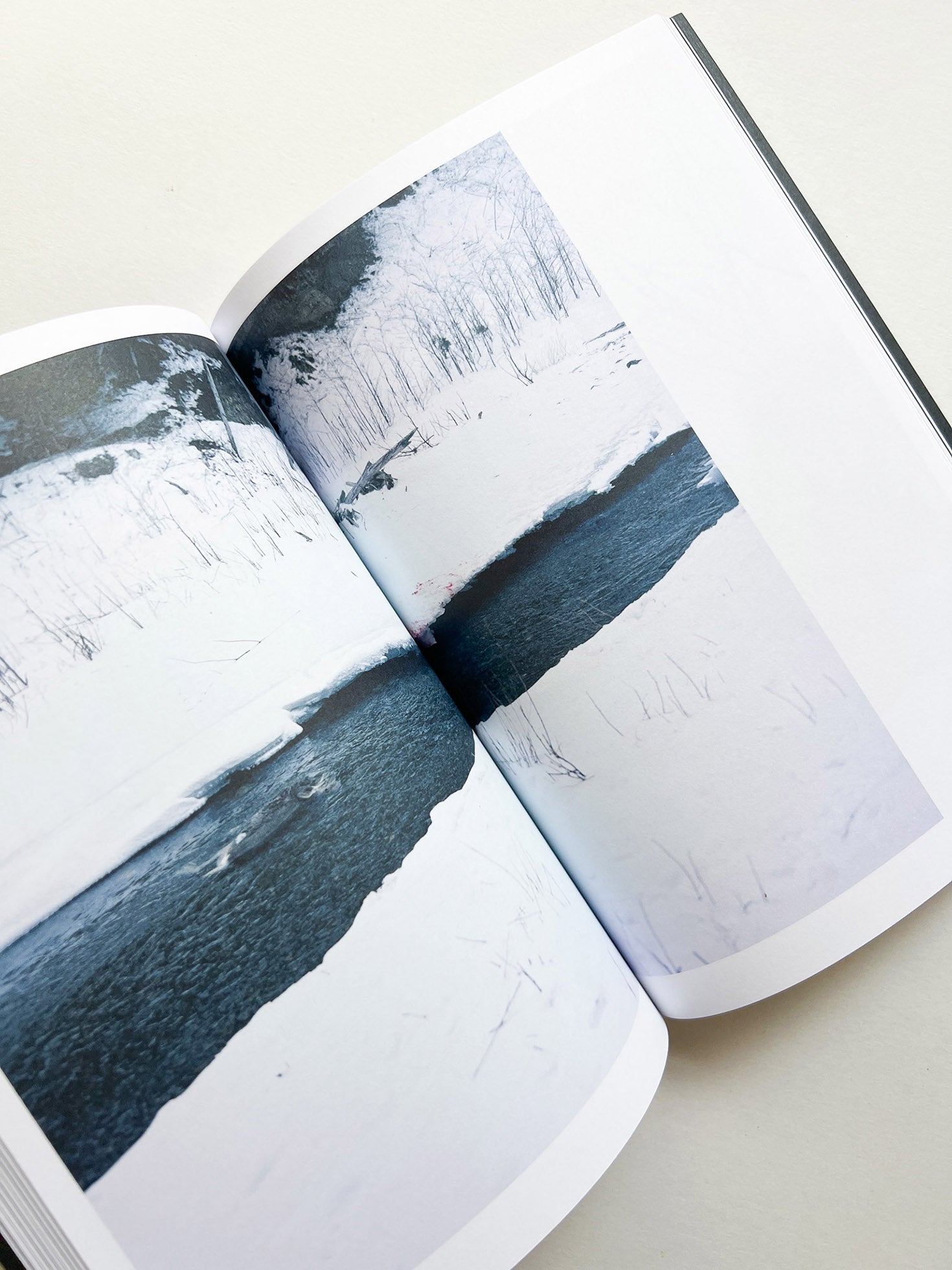 Hotshoe magazine Issue 209: An Emotional Landscape