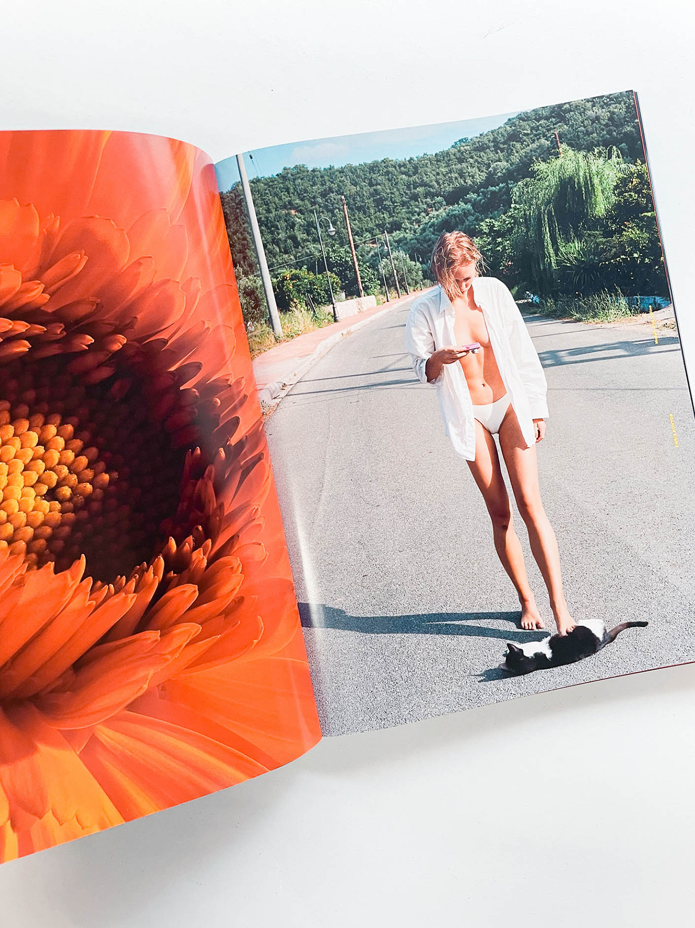 HAW-LIN MAGAZINE ISSUE 01