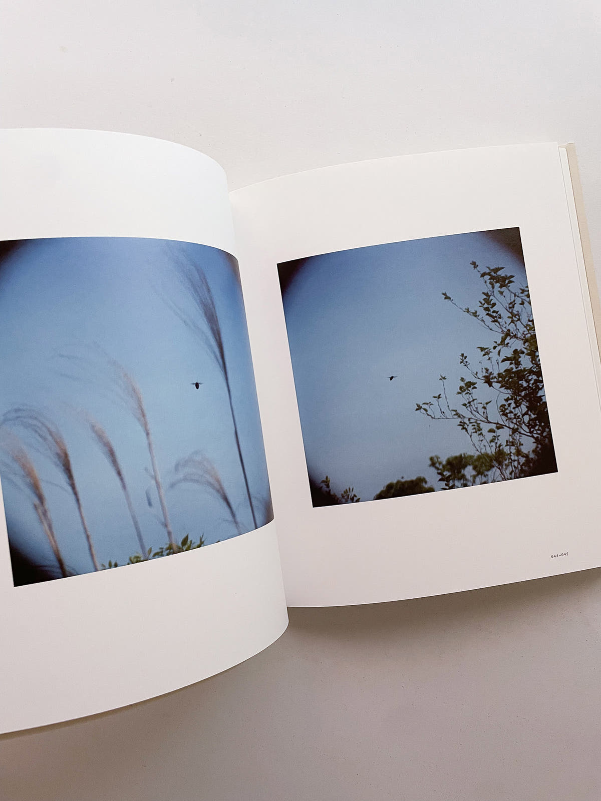 Small Miracles / Noguchi Rika