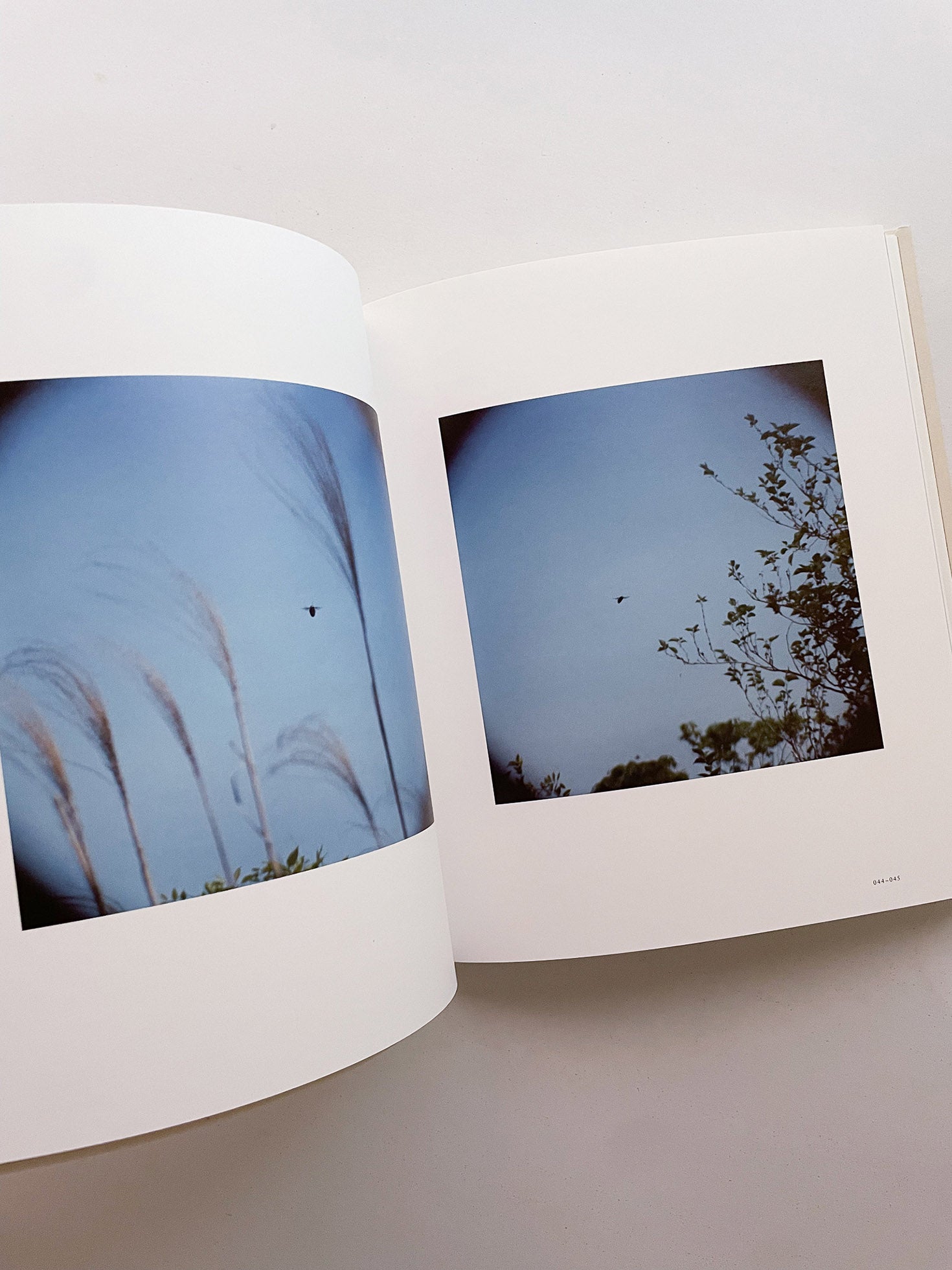 Small Miracles / Noguchi Rika