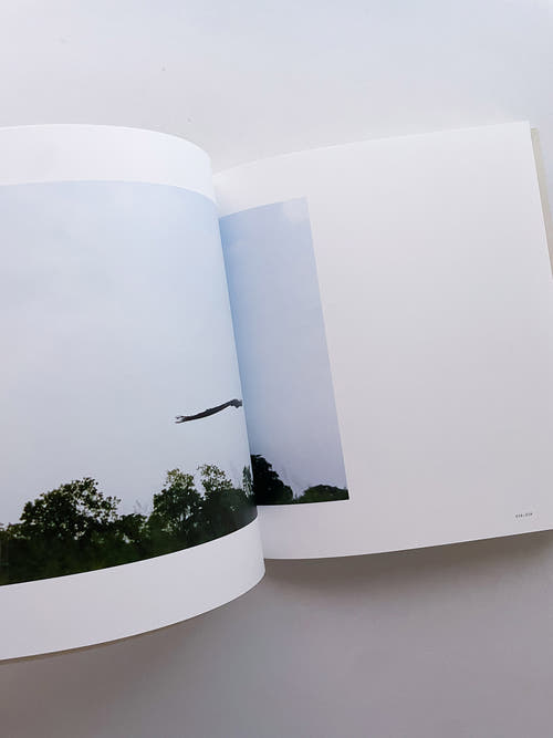 Small Miracles / Noguchi Rika