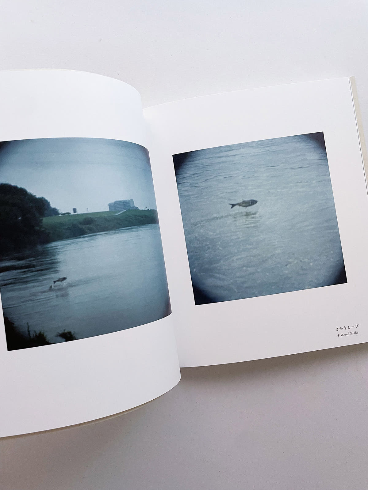 Small Miracles / Noguchi Rika