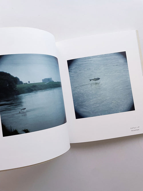 Small Miracles / Noguchi Rika