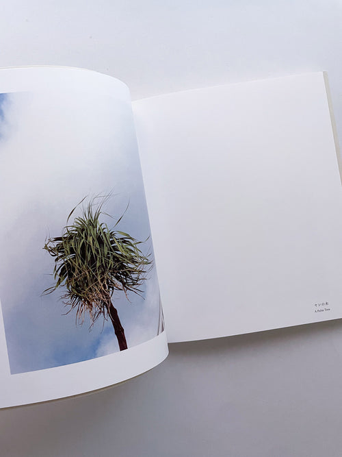 Small Miracles / Noguchi Rika