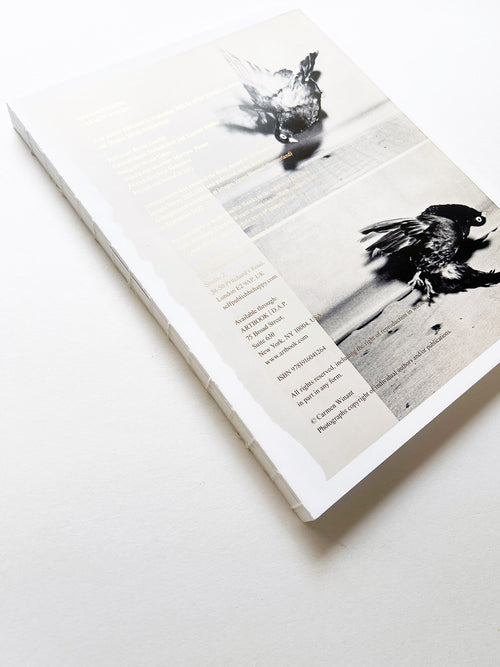 ARRANGEMENTS / Carmen Winant