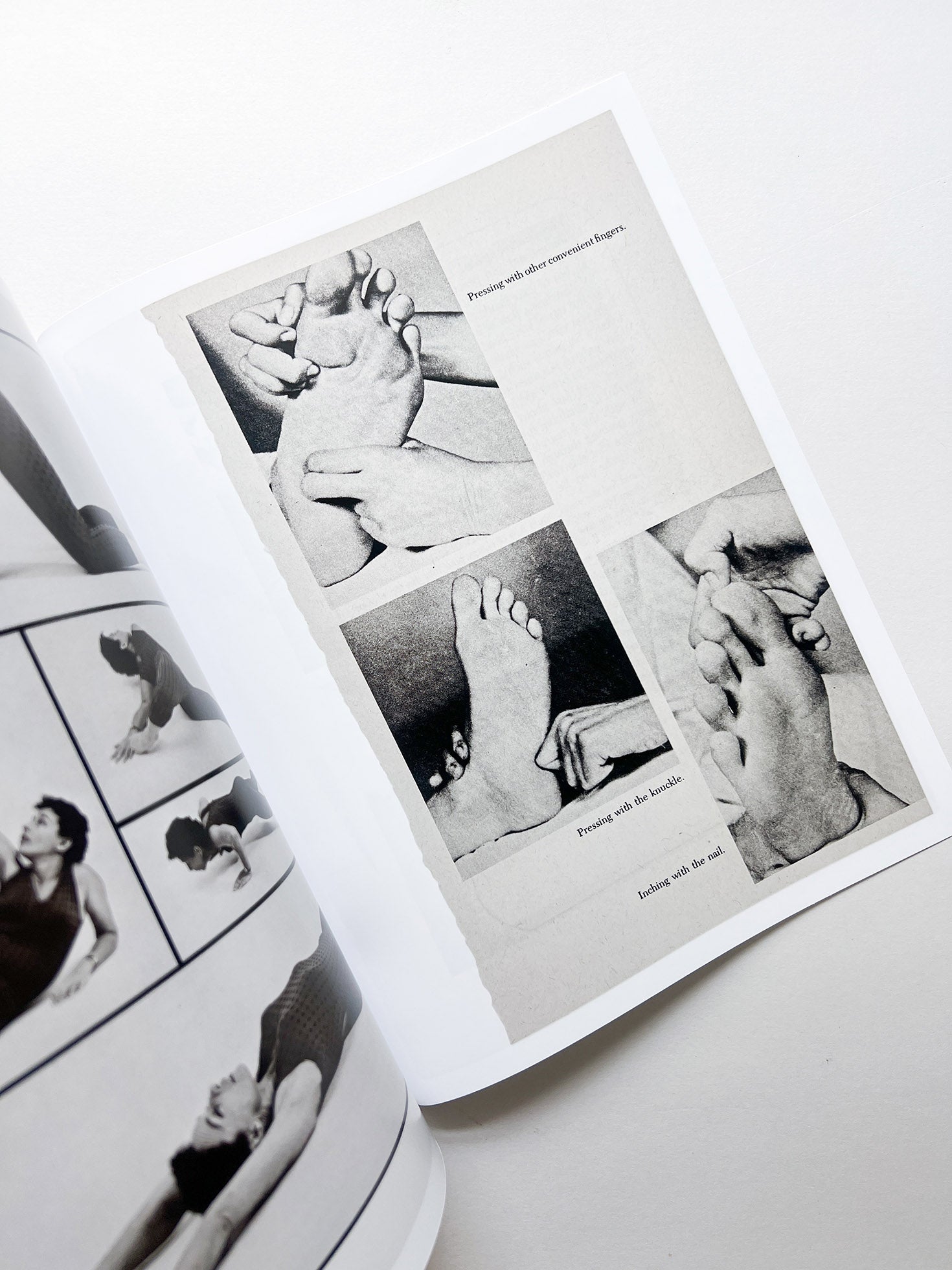 ARRANGEMENTS / Carmen Winant