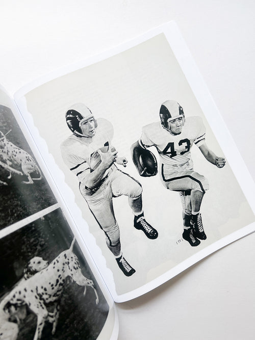 ARRANGEMENTS / Carmen Winant