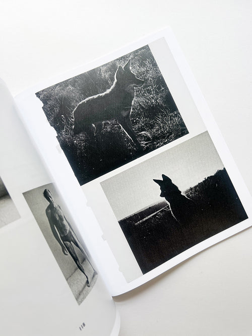 ARRANGEMENTS / Carmen Winant