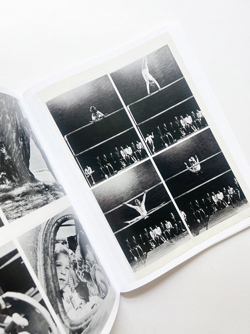 ARRANGEMENTS / Carmen Winant