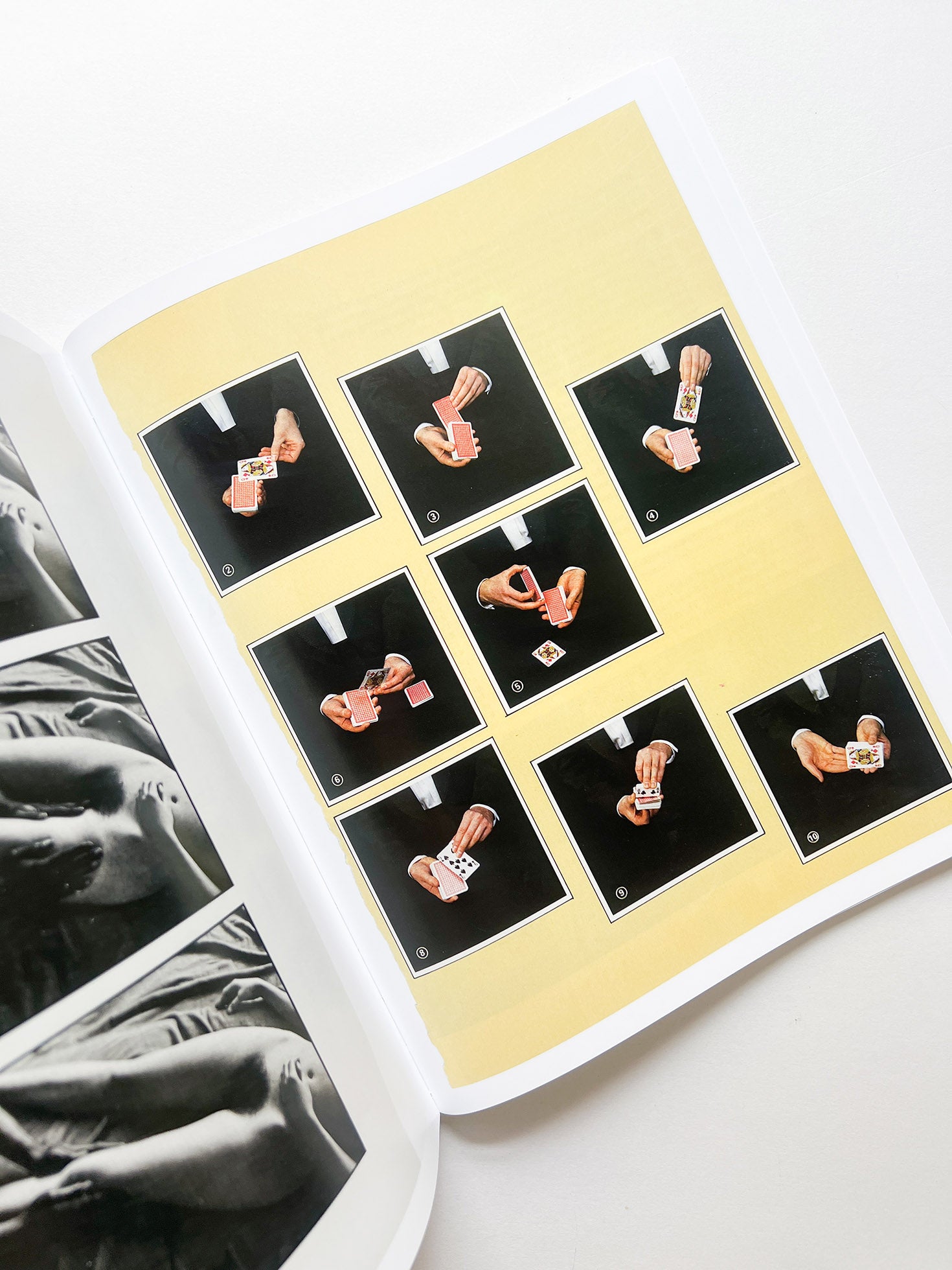 ARRANGEMENTS / Carmen Winant