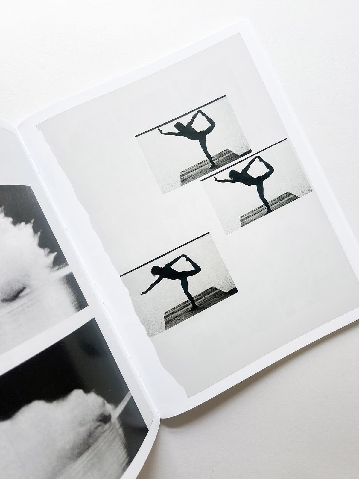 ARRANGEMENTS / Carmen Winant
