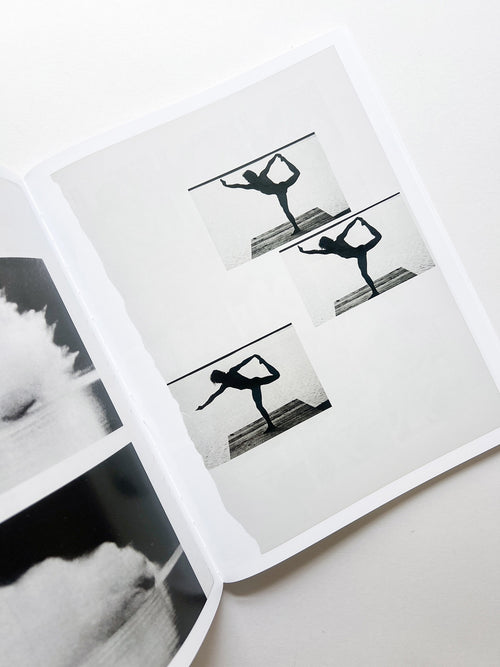 ARRANGEMENTS / Carmen Winant