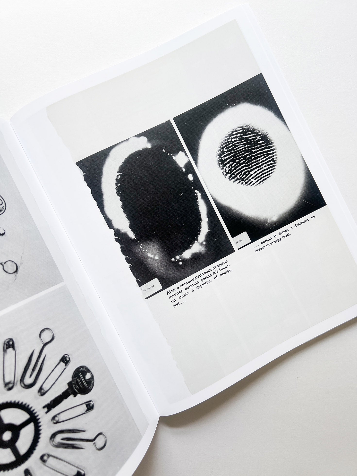 ARRANGEMENTS / Carmen Winant