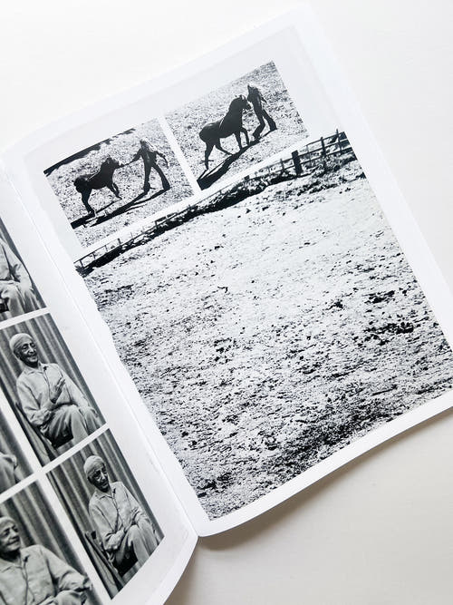ARRANGEMENTS / Carmen Winant