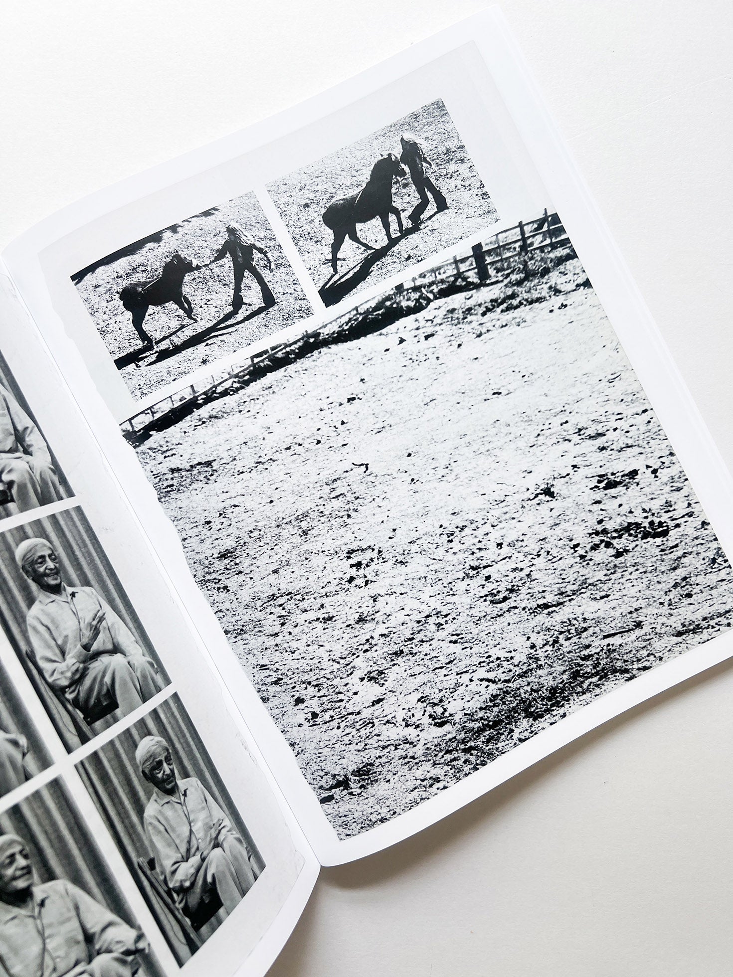 ARRANGEMENTS / Carmen Winant