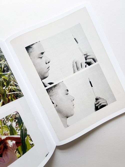 ARRANGEMENTS / Carmen Winant