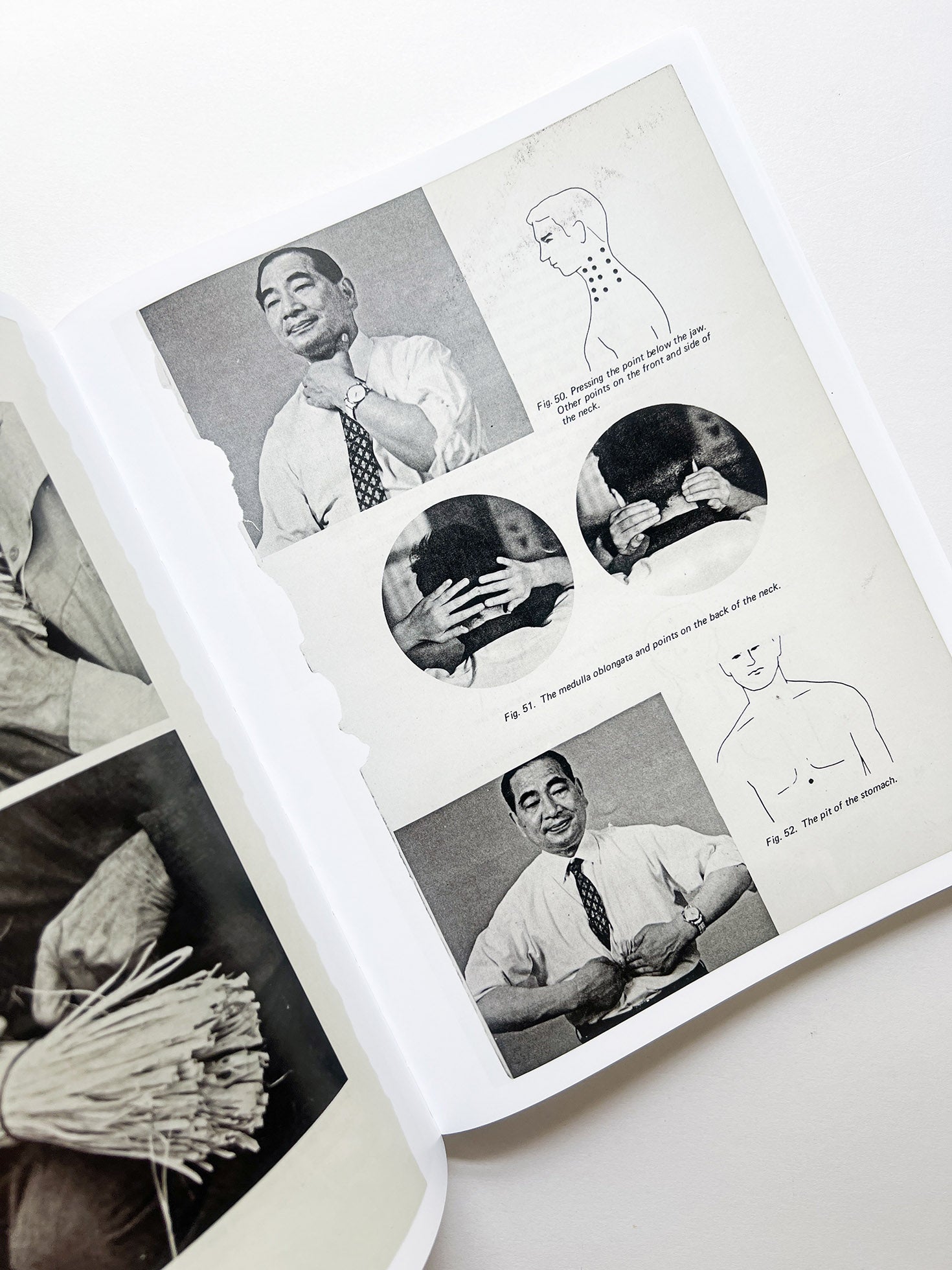 ARRANGEMENTS / Carmen Winant