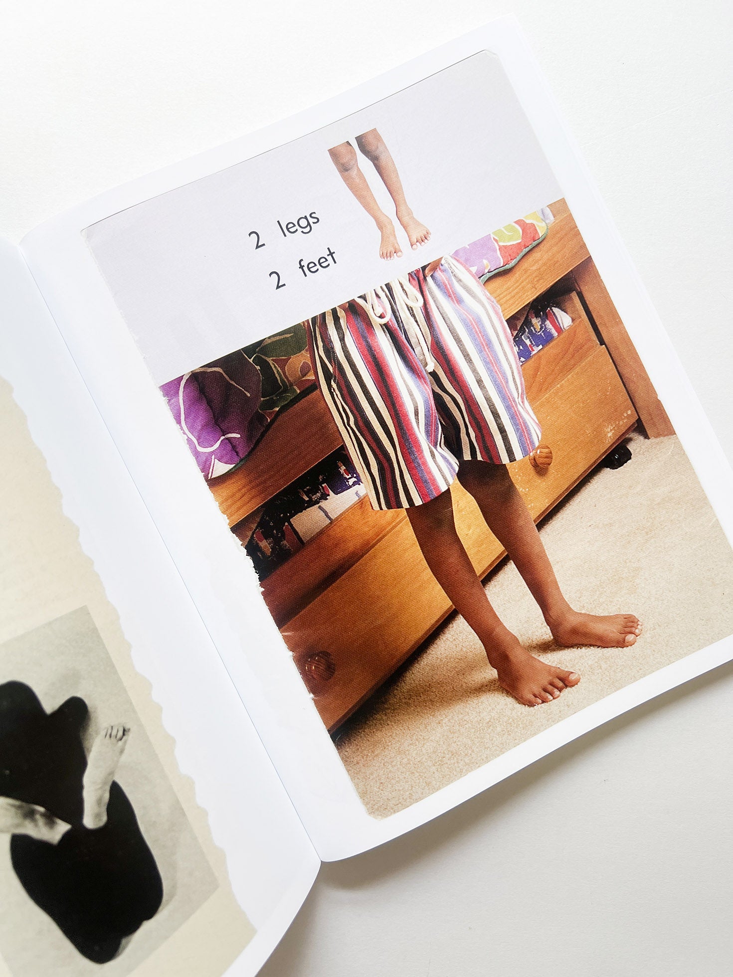 ARRANGEMENTS / Carmen Winant