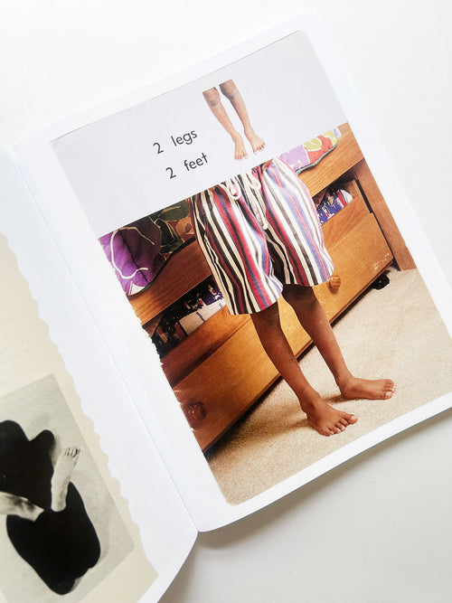 ARRANGEMENTS / Carmen Winant