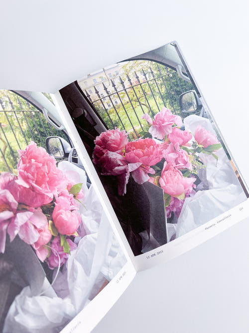 Flowers in the Front Seat / Simone Gooch