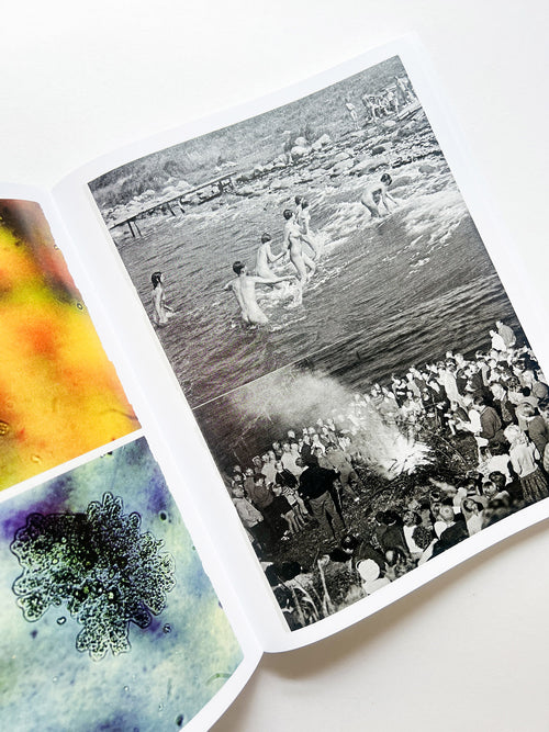 ARRANGEMENTS / Carmen Winant