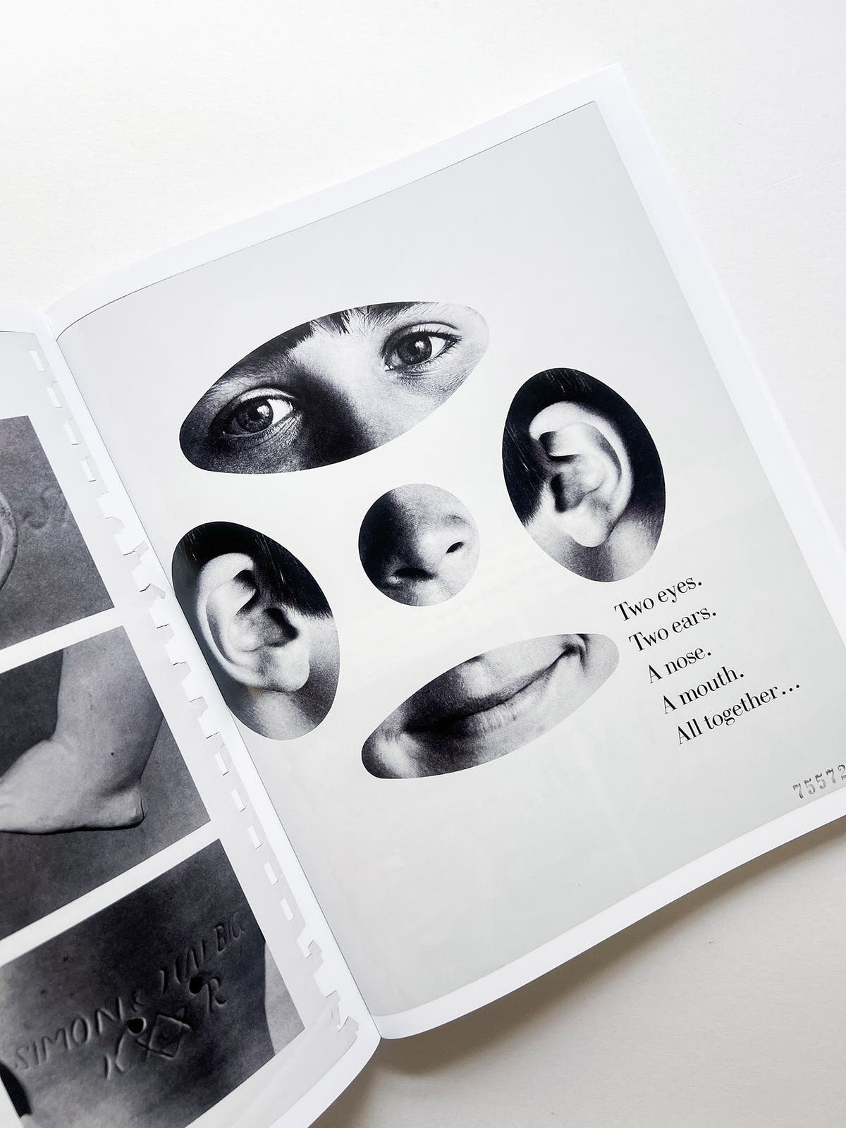 ARRANGEMENTS / Carmen Winant