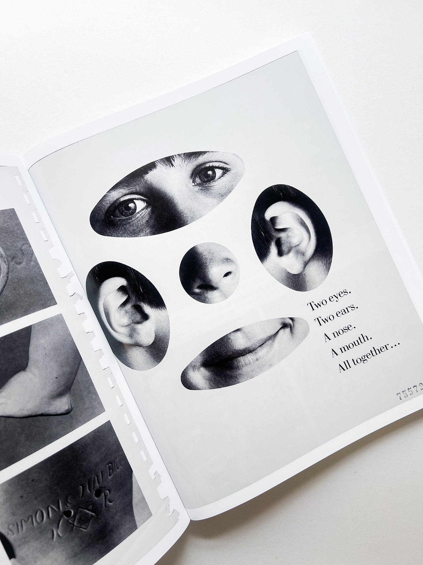 ARRANGEMENTS / Carmen Winant