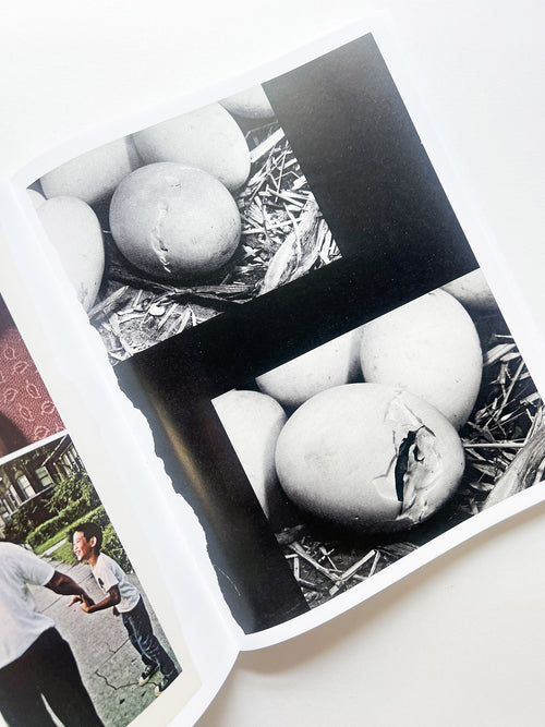 ARRANGEMENTS / Carmen Winant