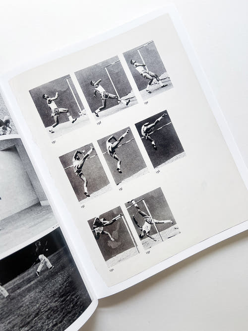 ARRANGEMENTS / Carmen Winant