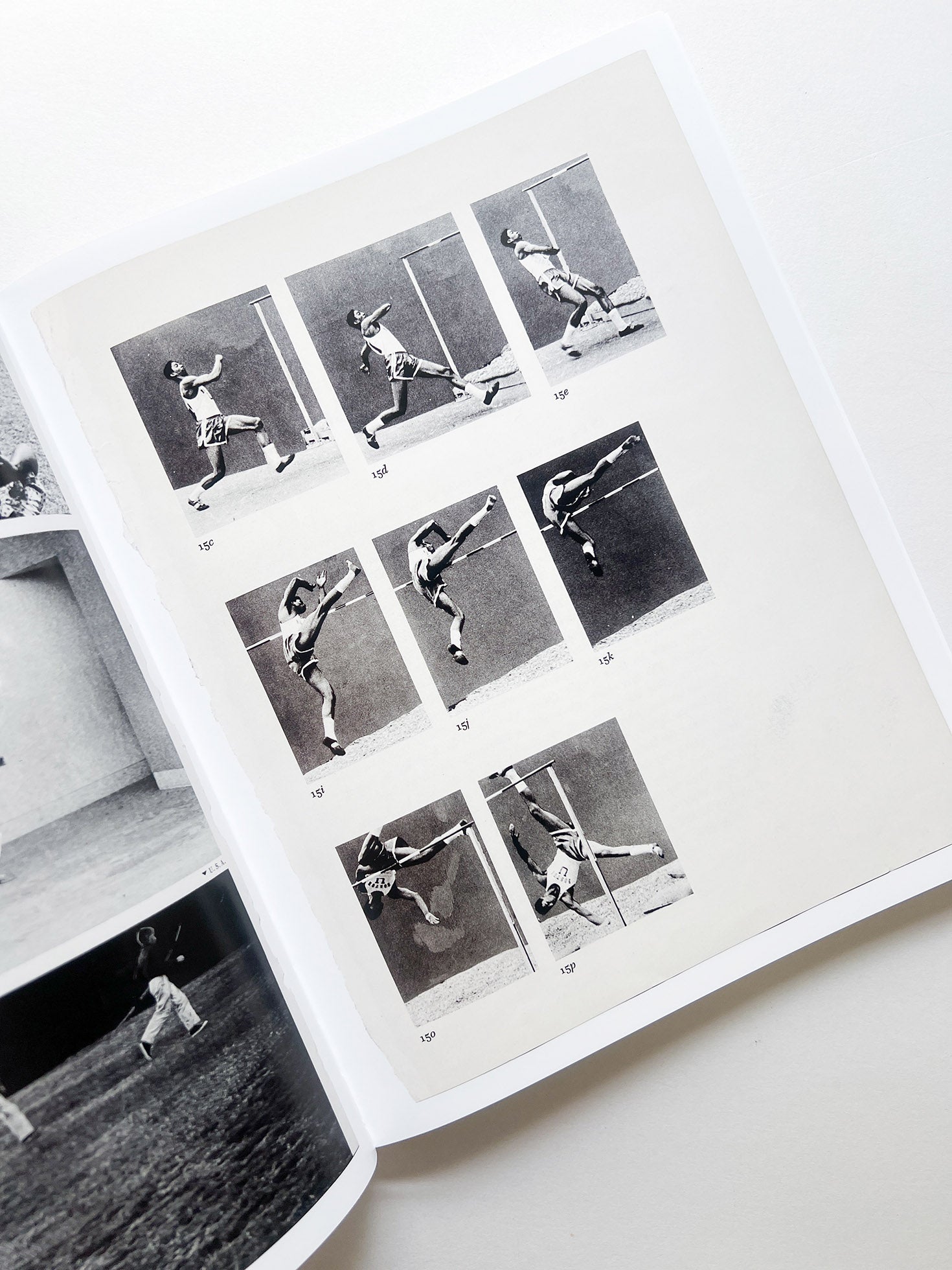 ARRANGEMENTS / Carmen Winant