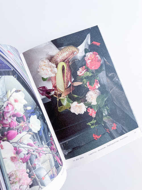 Flowers in the Front Seat / Simone Gooch