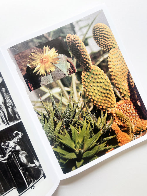 ARRANGEMENTS / Carmen Winant