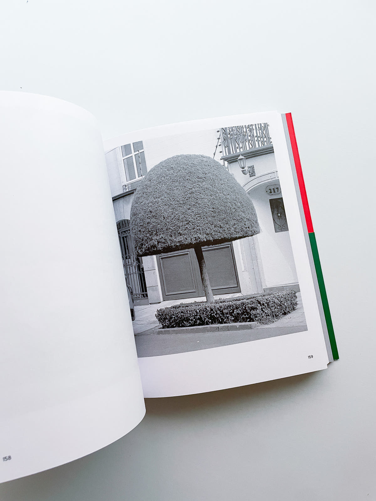A Guide on Gardening / Rubén Montesinos