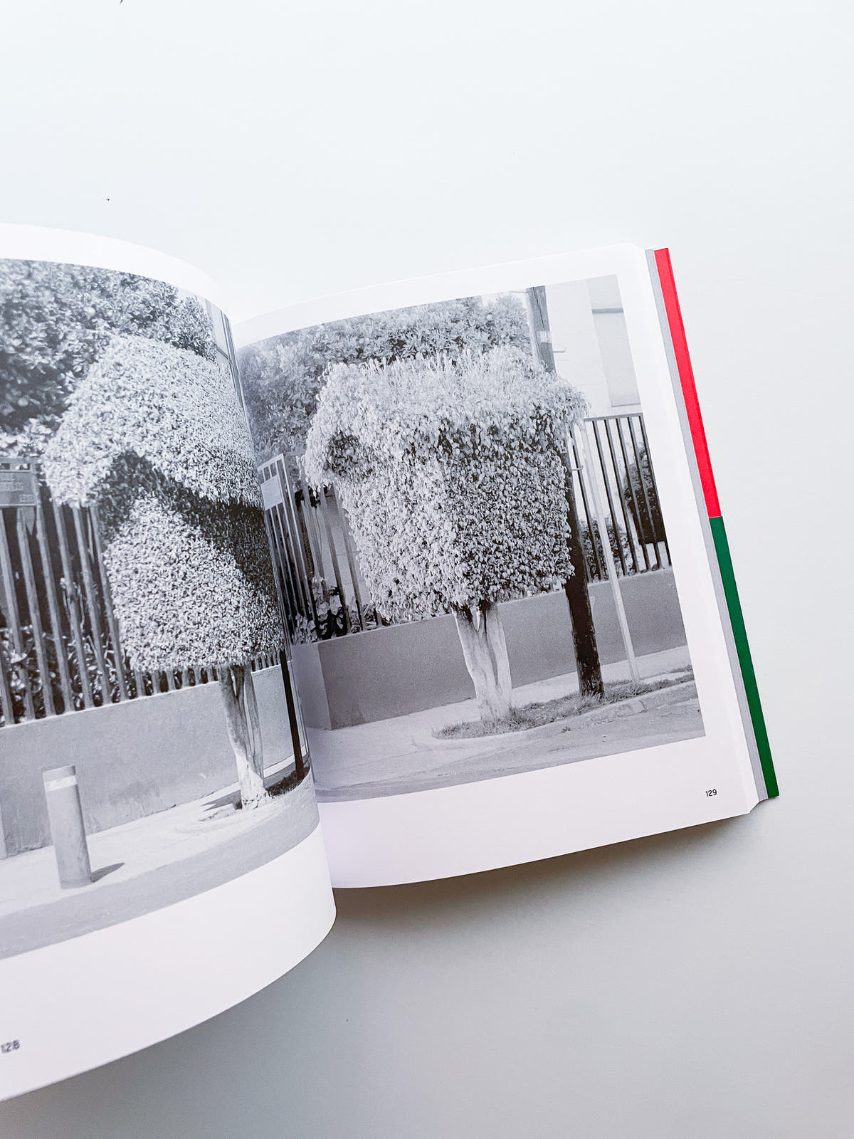 A Guide on Gardening / Rubén Montesinos