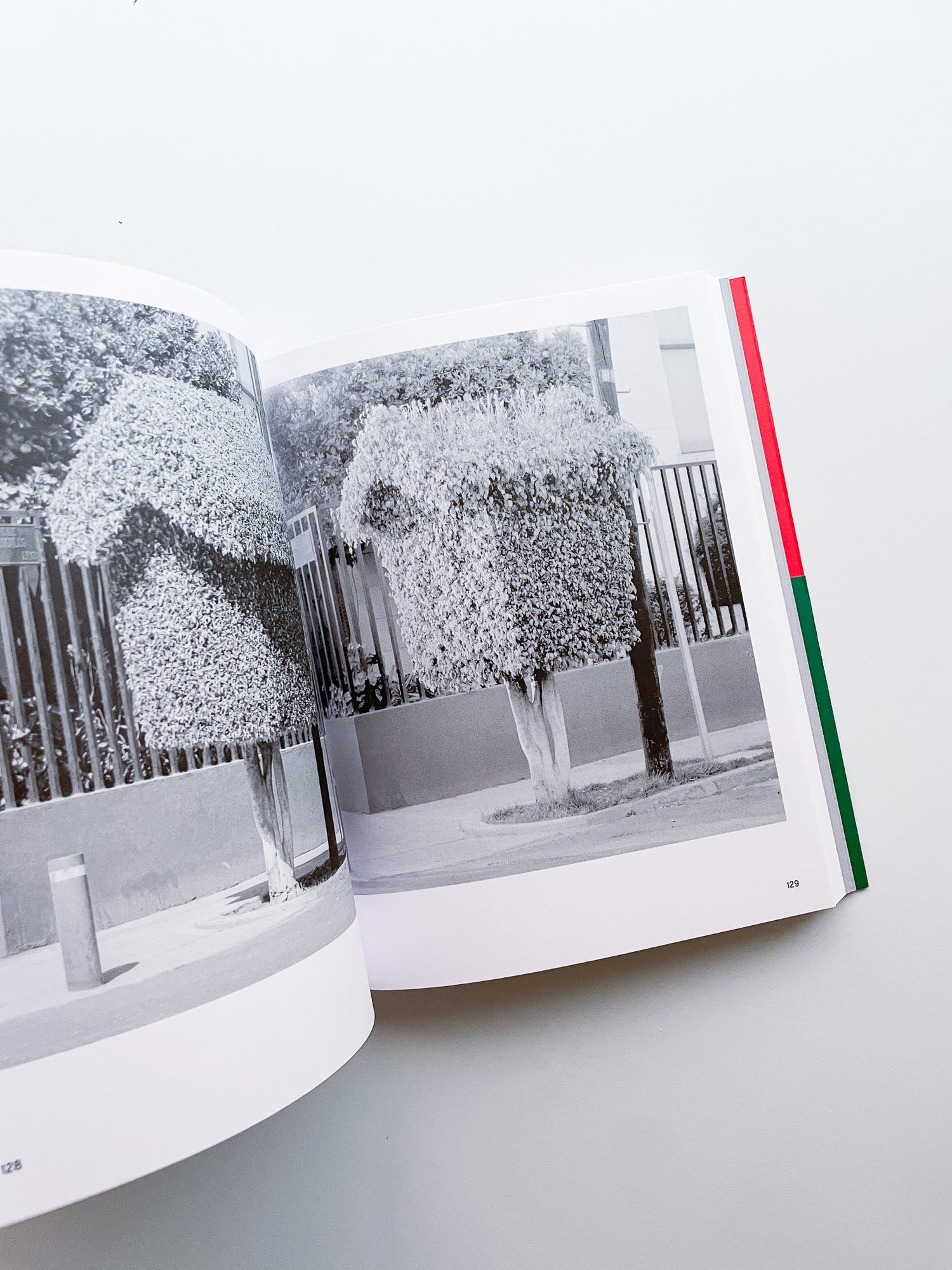 A Guide on Gardening / Rubén Montesinos
