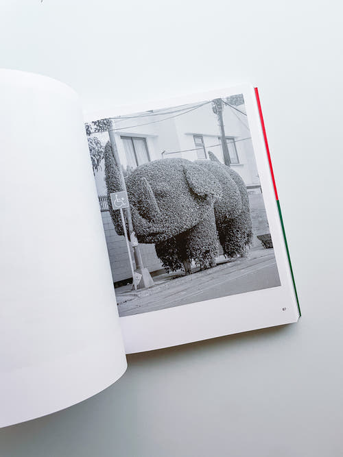 A Guide on Gardening / Rubén Montesinos