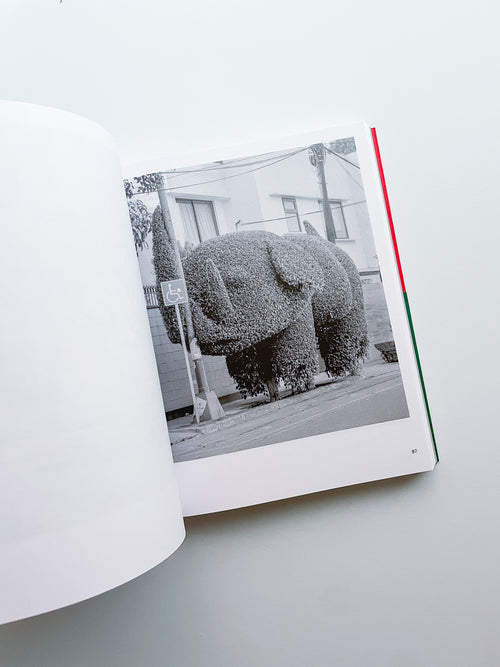 A Guide on Gardening / Rubén Montesinos