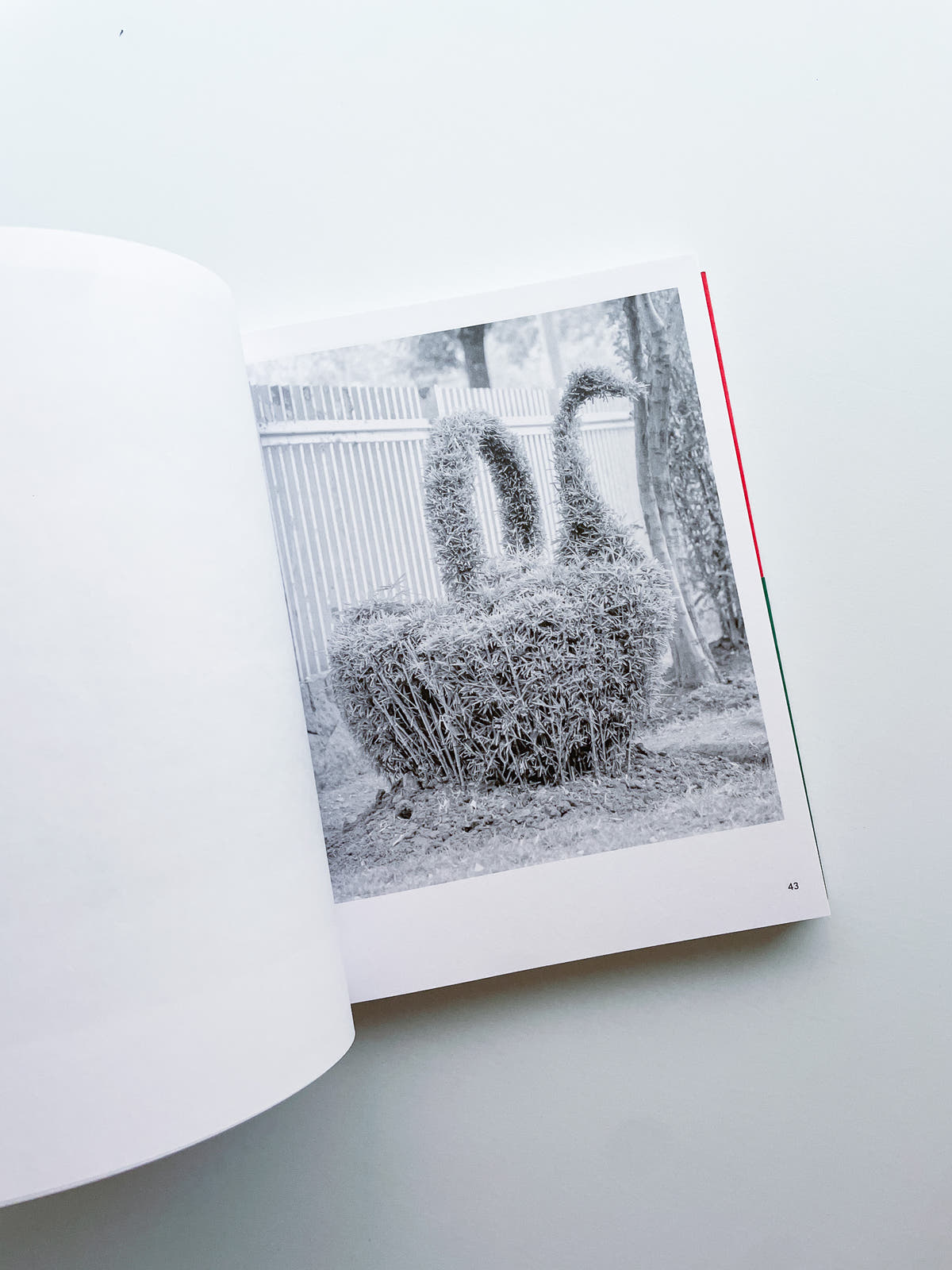 A Guide on Gardening / Rubén Montesinos