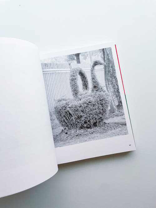 A Guide on Gardening / Rubén Montesinos