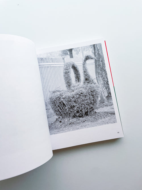 A Guide on Gardening / Rubén Montesinos