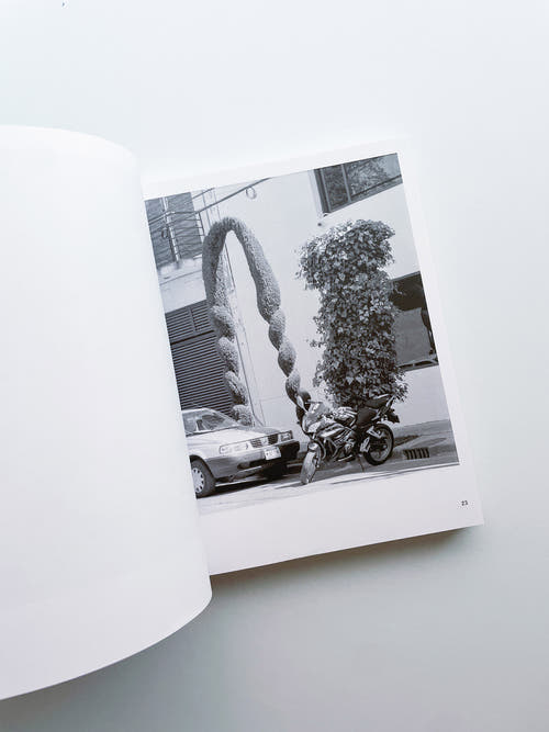 A Guide on Gardening / Rubén Montesinos
