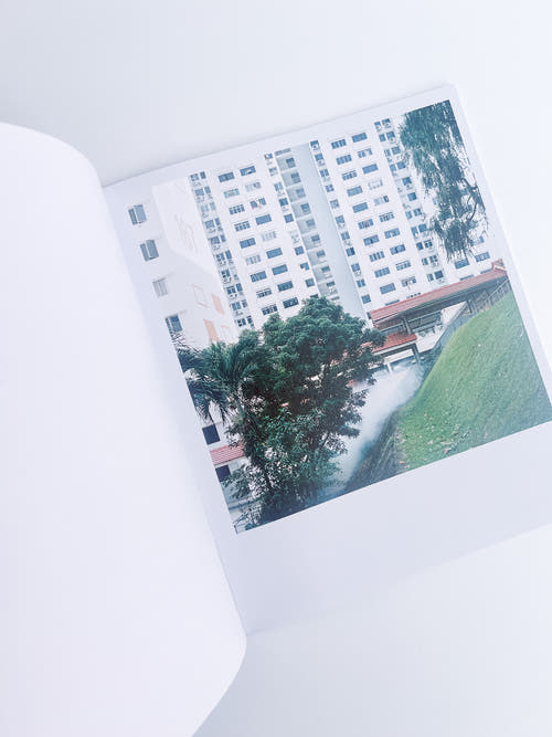 White Noise / Kathy Anne Lim